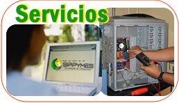 SERVICIO SIPPYMES